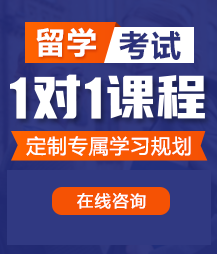 一起c人妻肏逼视频留学考试一对一精品课